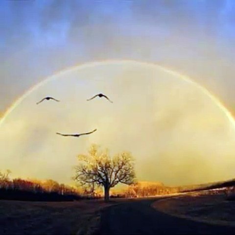 The Beauty Of Colourful Nature