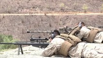 Worlds MOST FEARED sniper rifle great for US Military
