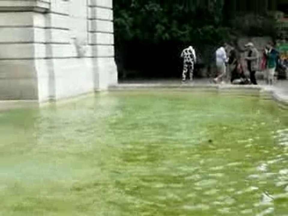 EVG du Zat : oh la vache !