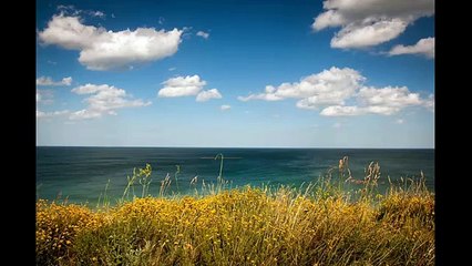 Gionee Elife E8 Camera 2