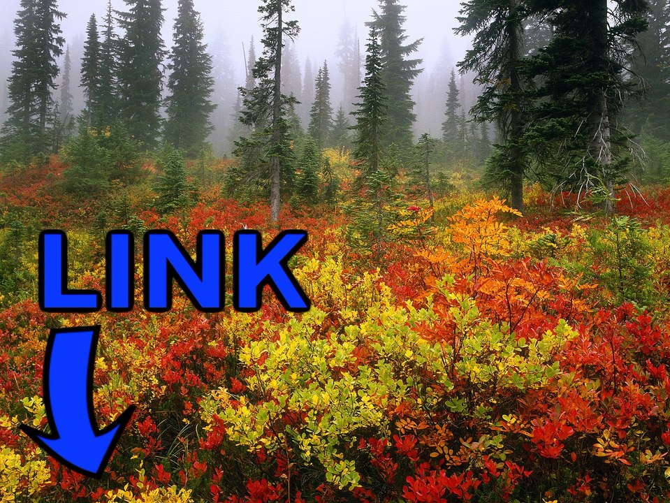 Download Project CARS steam key generator gratuit telecharger