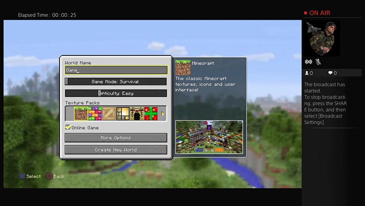 Minecraft gamer