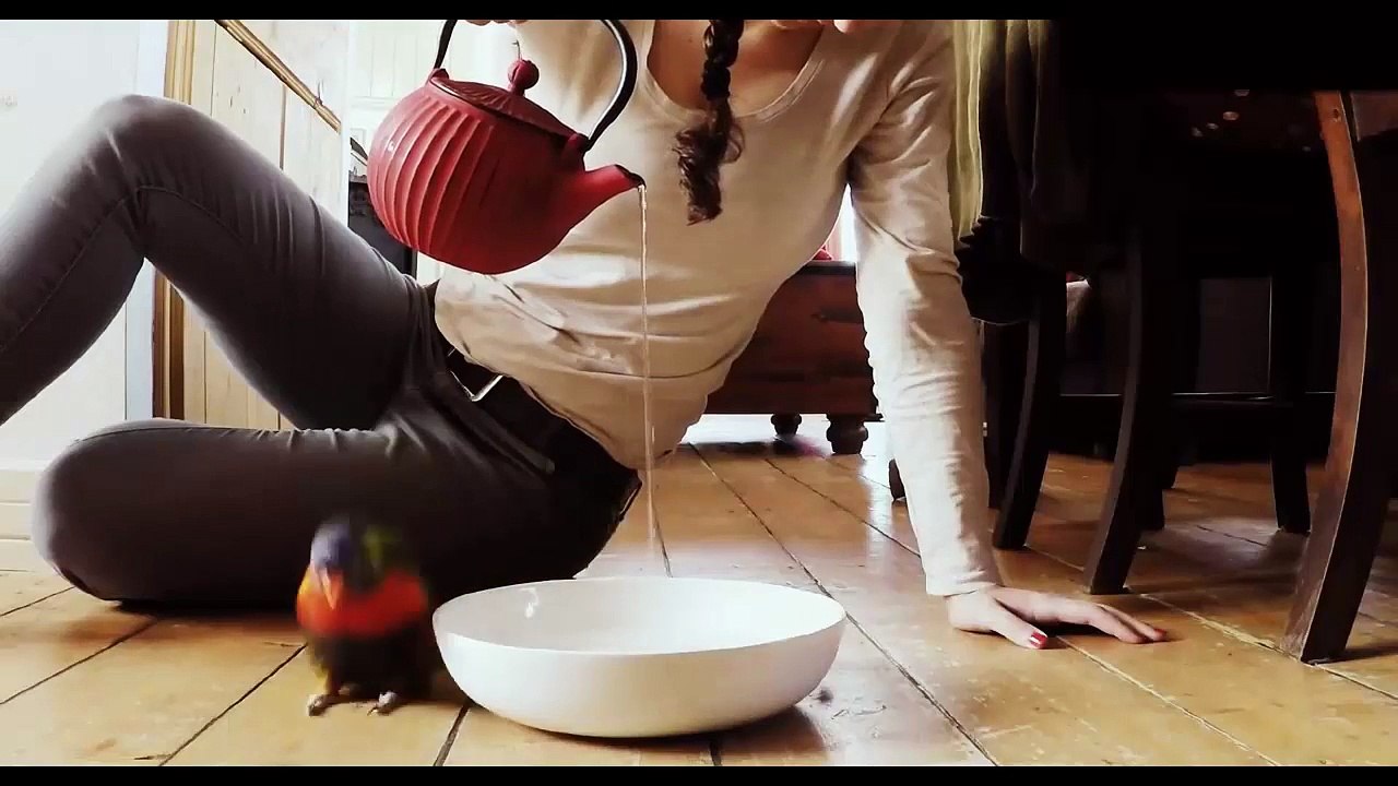 Cet oiseau fait la danse de la pluie... Adorable