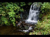 Allan England Photography Pitlochry Black Spout Wood