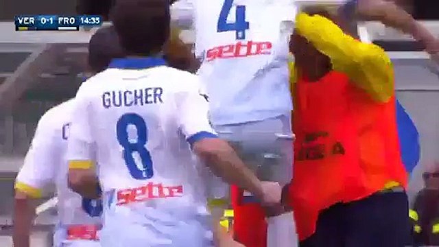 Hellas Verona Vs Frosinone 1-2 Highlights & All Goals 17 April 2016