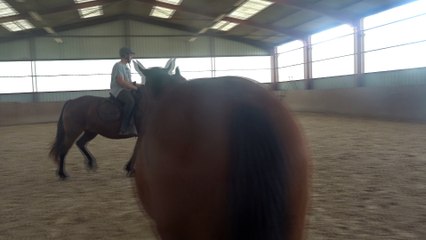 2016.04.17.tenebra.zi