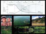 GCSE - Population Dynamics - Demographic Transition Model