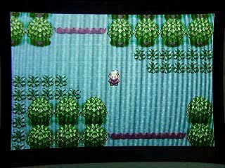 ポケットモンスター エメラルド ハニワのプレイ4 Video Dailymotion