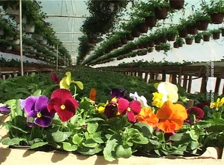 Selo moje, 17. april 2016. (RTV Bor)