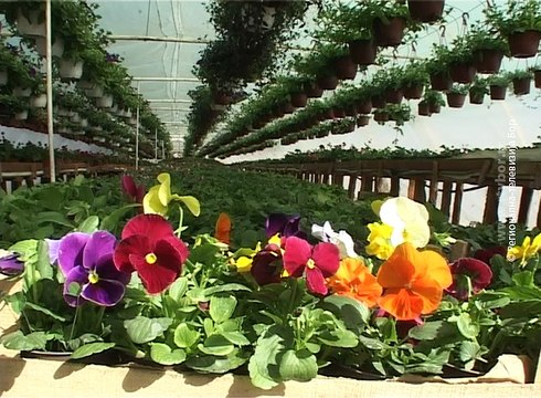 Selo moje, 17. april 2016. (RTV Bor)