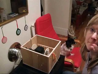 DIY Electric Spinning Wheel