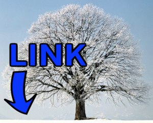 Download Torchlight II key generator telecharger 2016