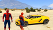 GTA V Lamborghini COLOR Cars for Kids Cartoon with Spiderman! Fun Superhero Movie Nursery Rhymes Songs Cartoon Play Game - Abc Alphabet Songs - Episode Three FX