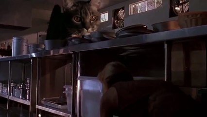 JURASSIC PARK Cat Parody (Velociraptor Kitchen Scene)