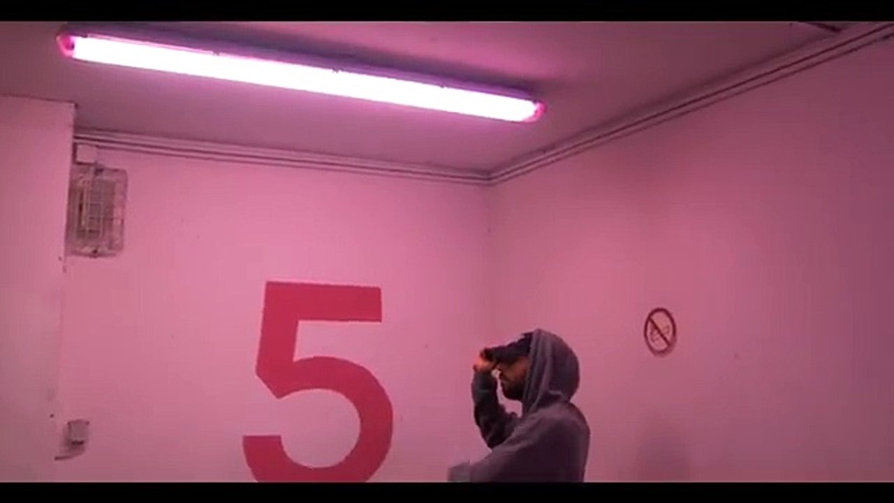 Hotel Paradisio - Neptune (clip officiel)