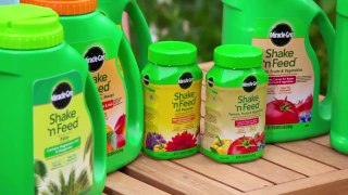 How to Use Miracle-Gro® Continuous Release Plant Food to Feed Your Plants