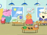 Peppa Pig - L'ufficio di papà Pig - Bimbi TUBE - Italiano HD