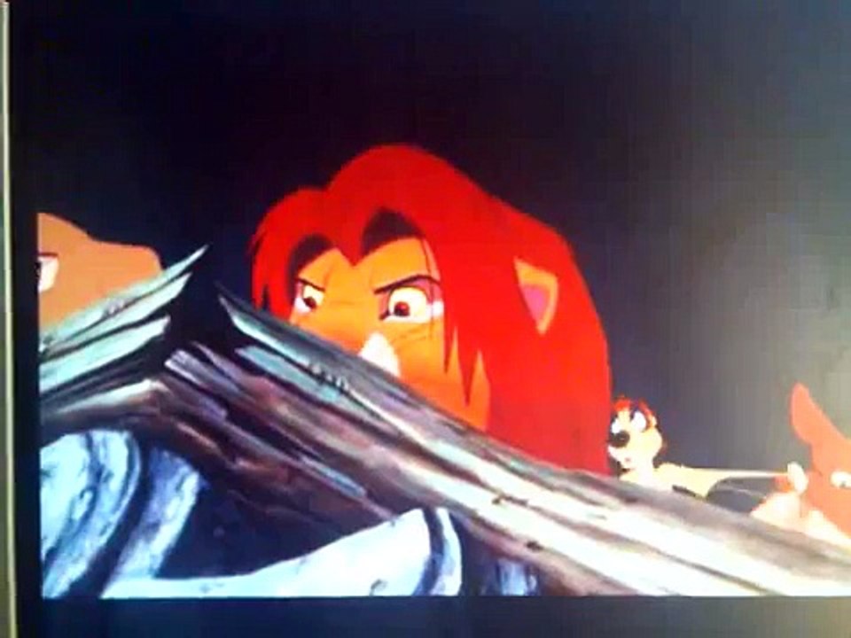 Timon et Pumba