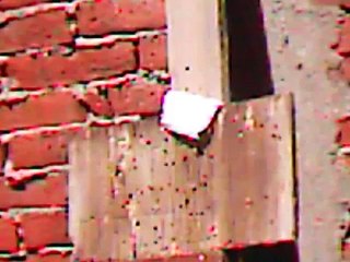 Disparos con Gamo CFX a 15 m.