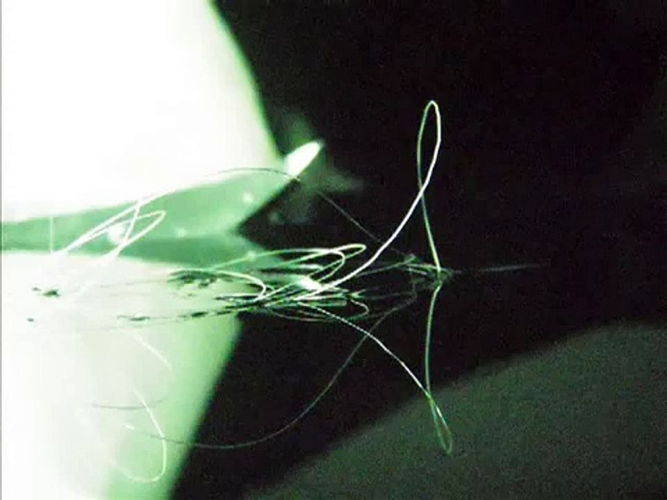FLV