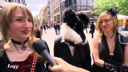 Das legendäre Wave Gothic Treffen | taff | ProSieben