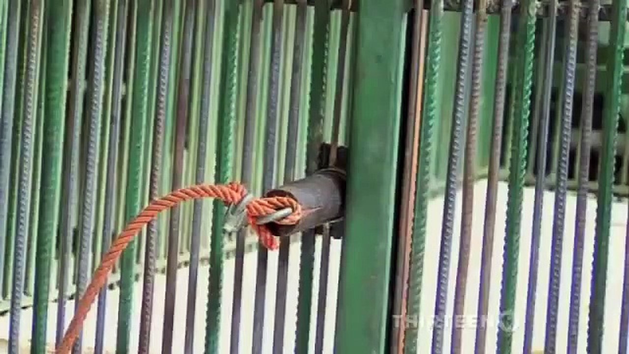 DO ANIMALS HAVE MORALS? NOVA Discovery/Science/Nature (documentary)