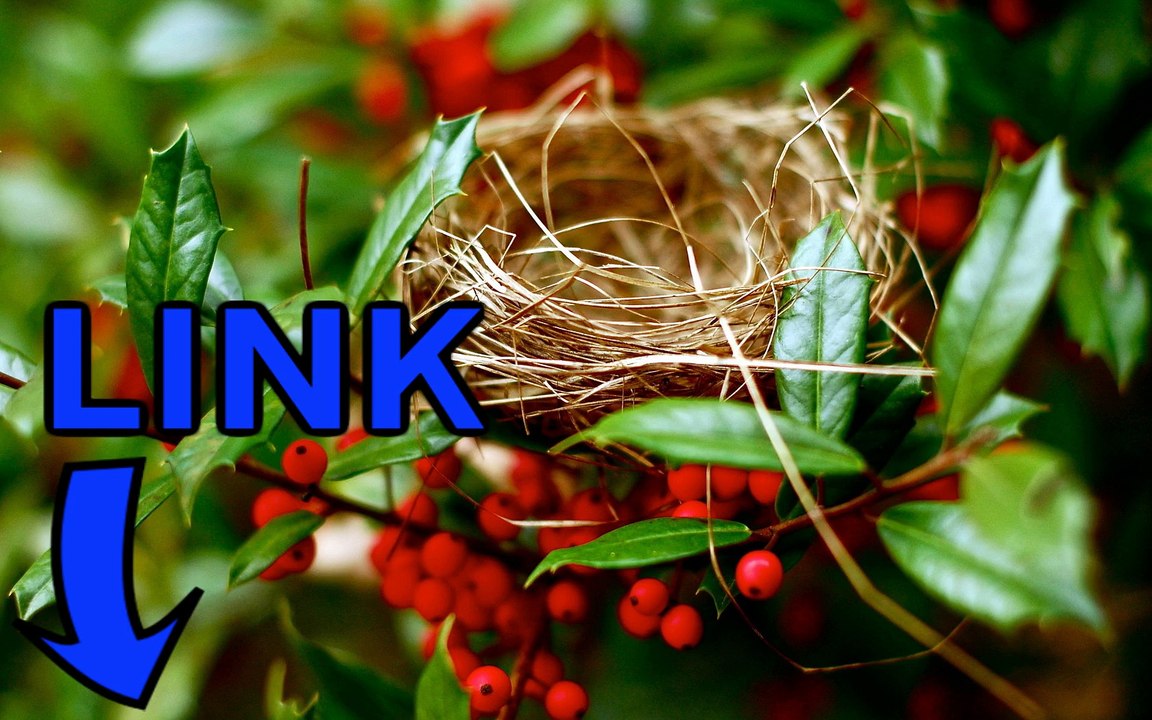 Spacewar steam key gratuit 2016 telecharger