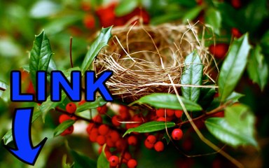 Spacewar steam key gratuit 2016 telecharger