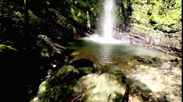 Greetings from Puerto Rico Raw, April 4, 2016