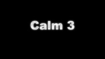 Calm3, Minecraft music sound track Complete set