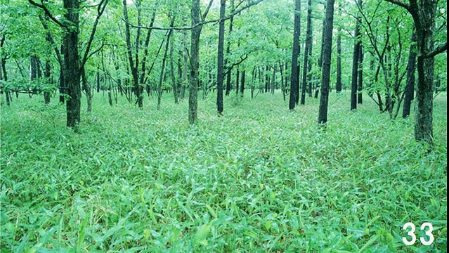 【5H】スウィングジャズービブラフォン・Swing Jazz Vibraphone（長時間作業用BGM)