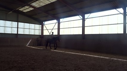 2016.04.17.tenebra.ze