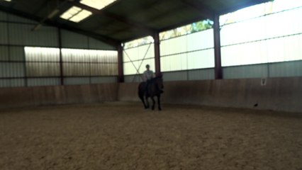 2016.04.17.tenebra.zf