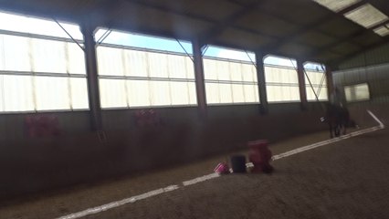 2016.04.17.tenebra.zd