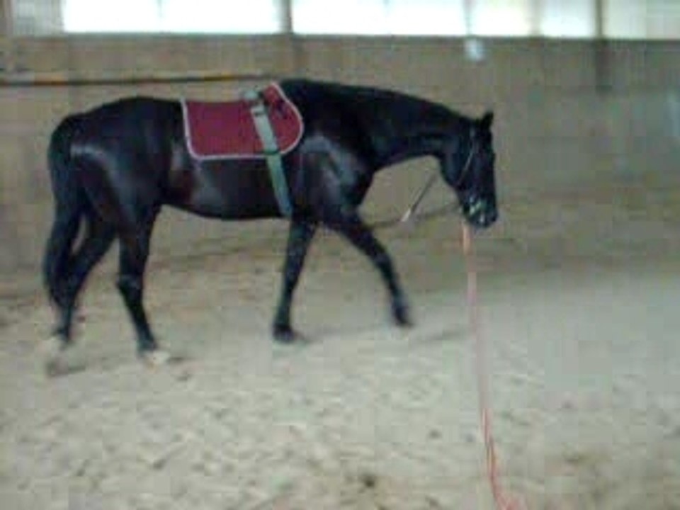 A la lOnge =P