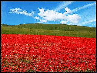 UNA AMIGA A QUIEN CASI LE HAGO EL AMOR - POEMA DE VERANO BRISAS