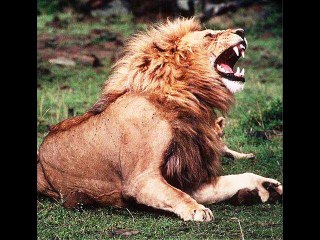 IMPRECACIÓN - POEMA DE VERANO BRISAS