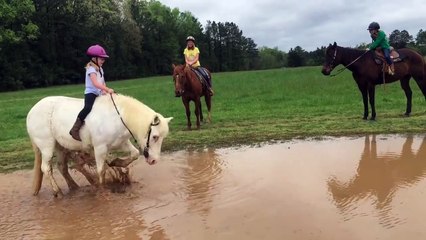 Un poney fait trempette avec une enfant sur son dos