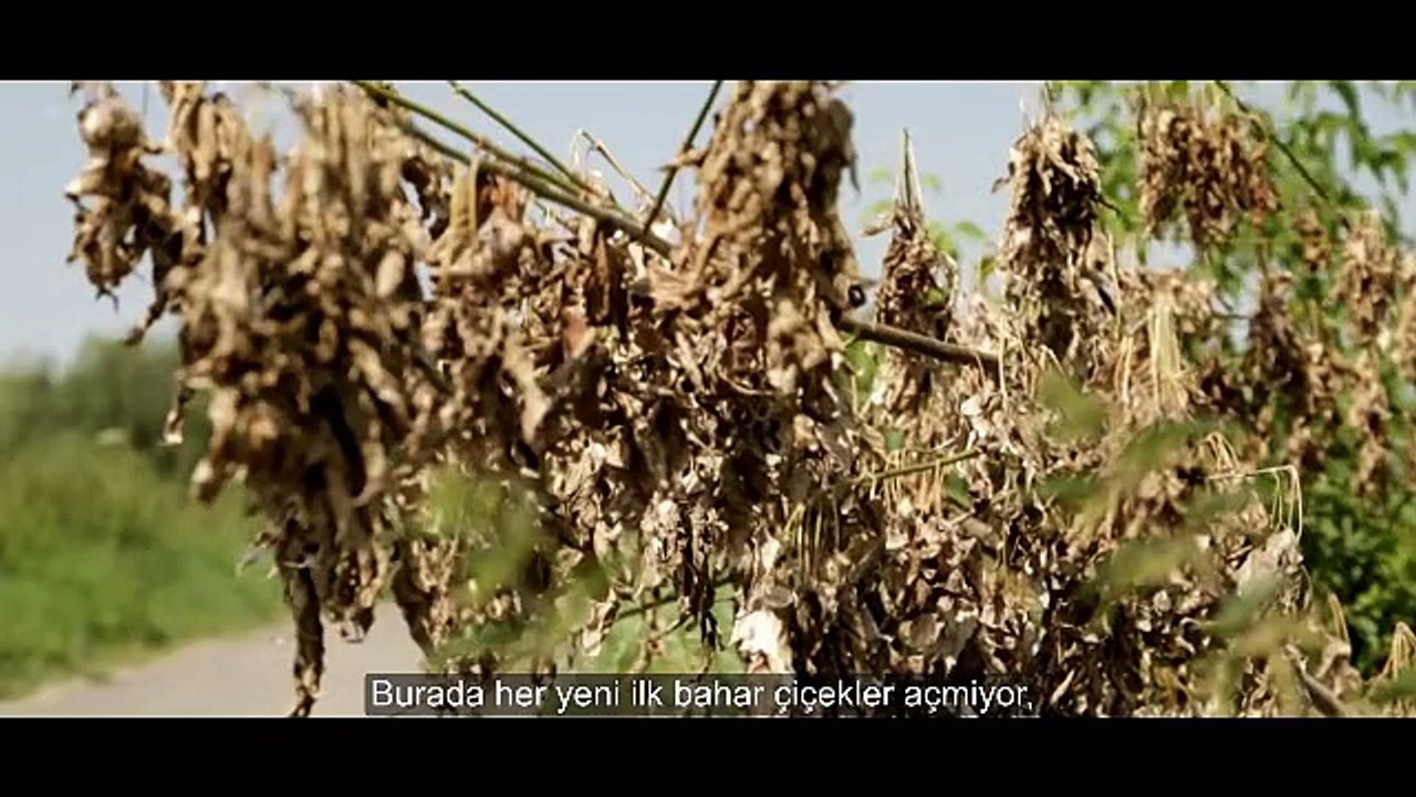 Massaka - Vergiftet