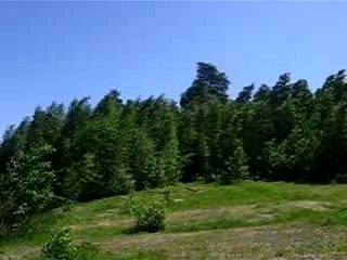 MVI_0057