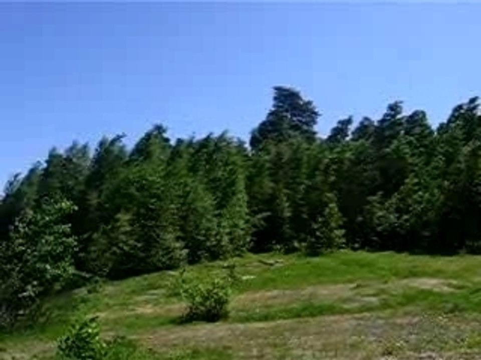 MVI_0057