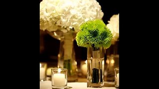 White Hydrangea In Vase | Picture Set Of Beautiful Folwers