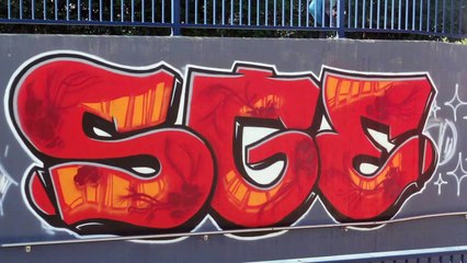 Ultras Eintracht Frankfurt || Nur die Sge!