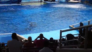 One Ocean May 20 2013 SeaWorld Orlando 12pm Show Part 6