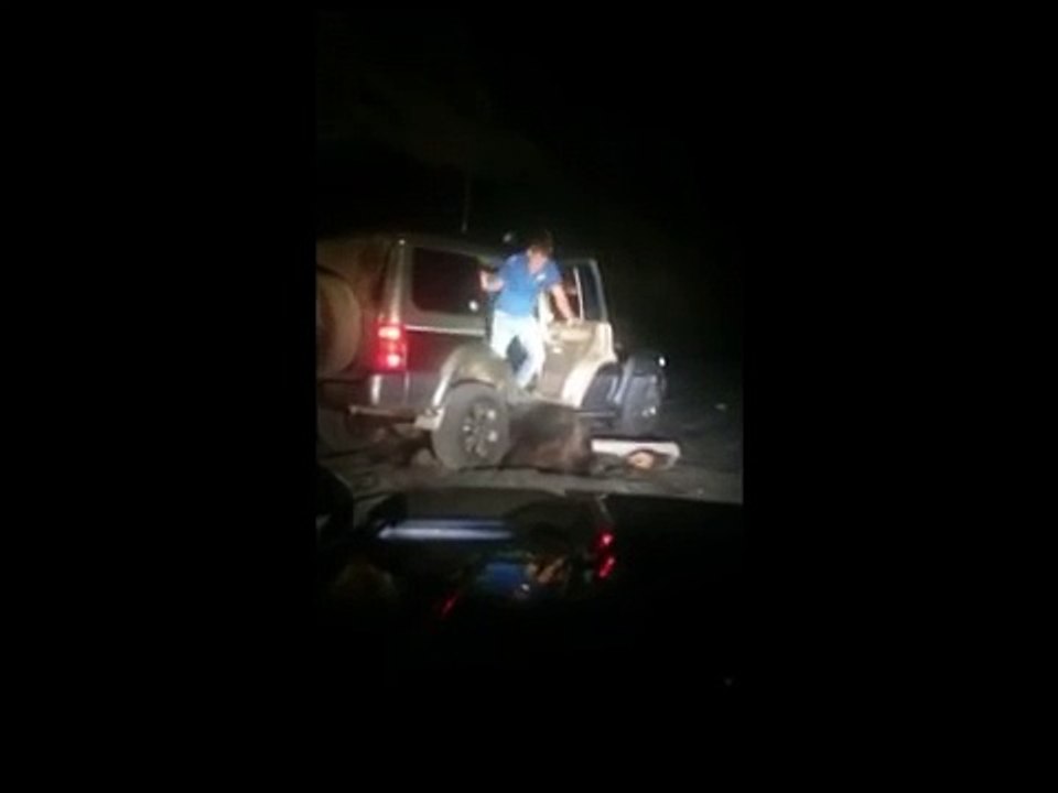На Итурупе автомобилисты издевались над медведем. Начало