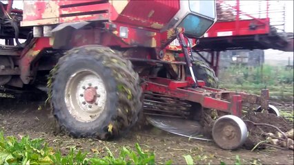 2 x Dewulf R 6000 bieten rooien 2012 - Vanden Bulcke uit Avelegem