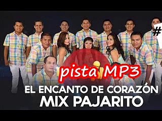 PISTA MUSICAL COMPLETA MIX PAJARITO DEL ENCANTO DE CORAZON 2016