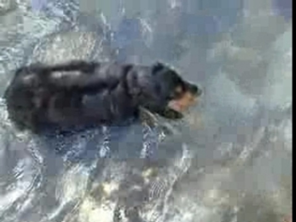 Au fil de l'eau