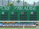 Jockeys in Turf Paradise Crash Released from Hospital