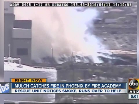 Phoenix Firefighters put out Mulch Fire